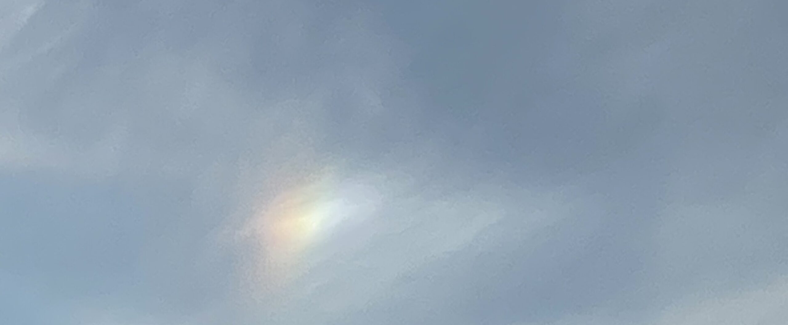 からだは知っている