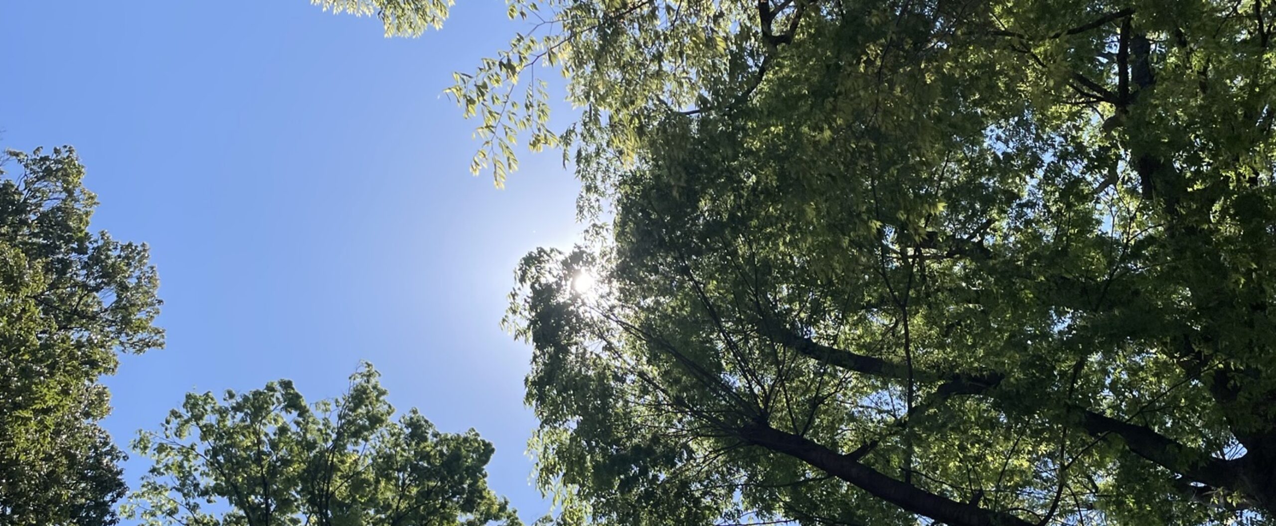 からだは知っている